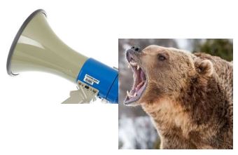 Ranting bear